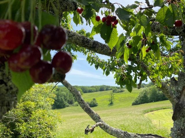 Domaine De Cazal - Gite 2 Pers Avec Piscine Au Coeur De 26 Hectares De Nature Preservee Saint-Cyprien  Ngoại thất bức ảnh